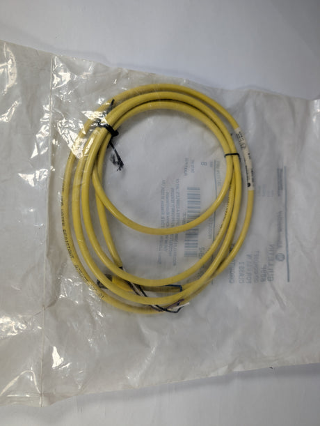 Allen Bradley - 2 Meter 4 Pin Pico Cable - 889P - F4AB - 2 - New - Big Liquidators